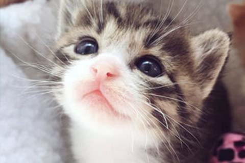 宝宝水痘疫苗最佳接种时间详解，什么时候该打大有学问